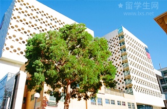 还在emo？澳洲留学文化冲击自救5招
