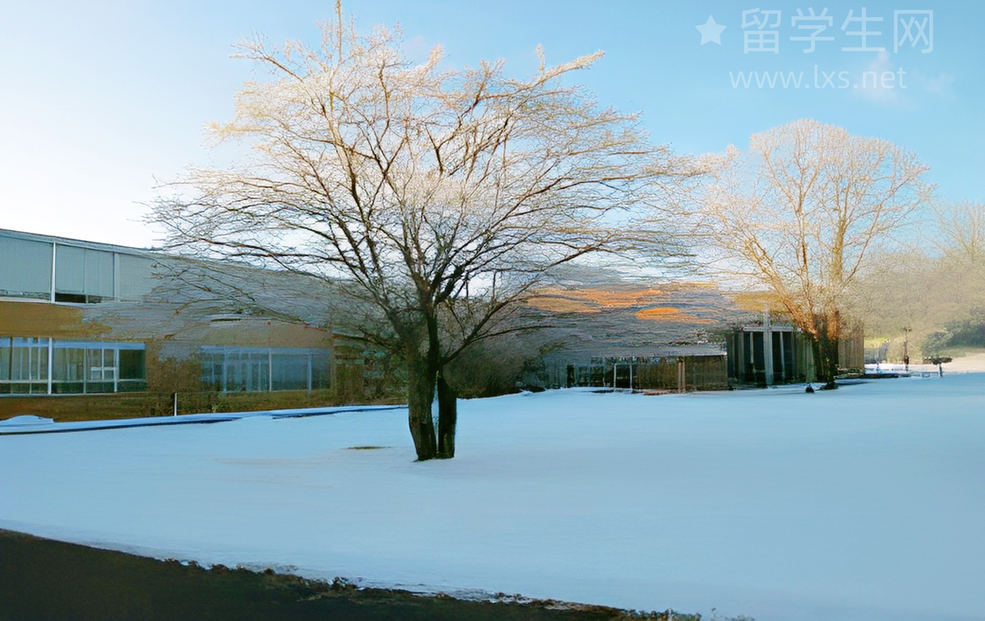 留学选国新思路：别光看排名，盯着“能留下”这事儿！