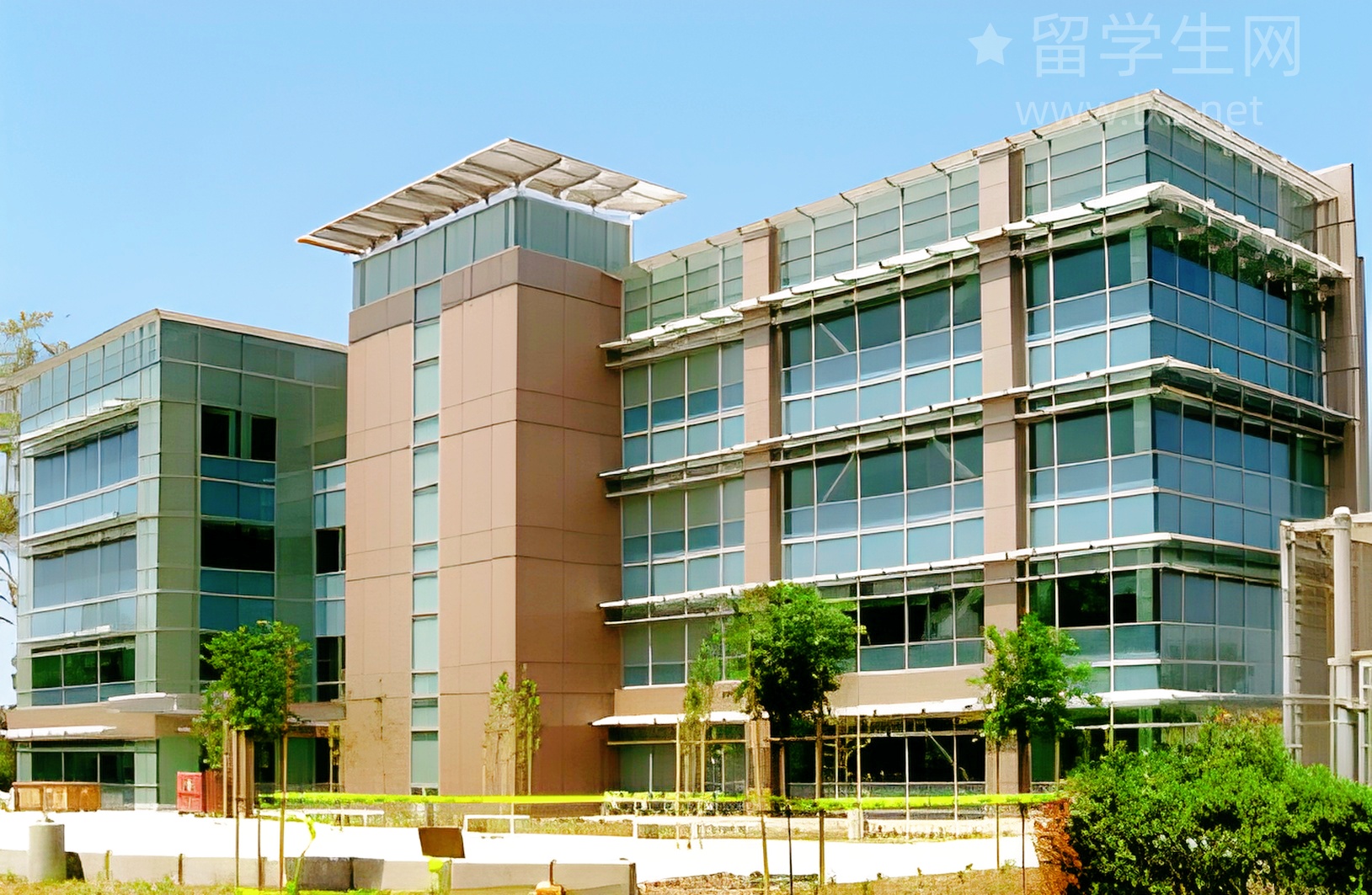 留学生免税车：专属福利，一文搞定申领！