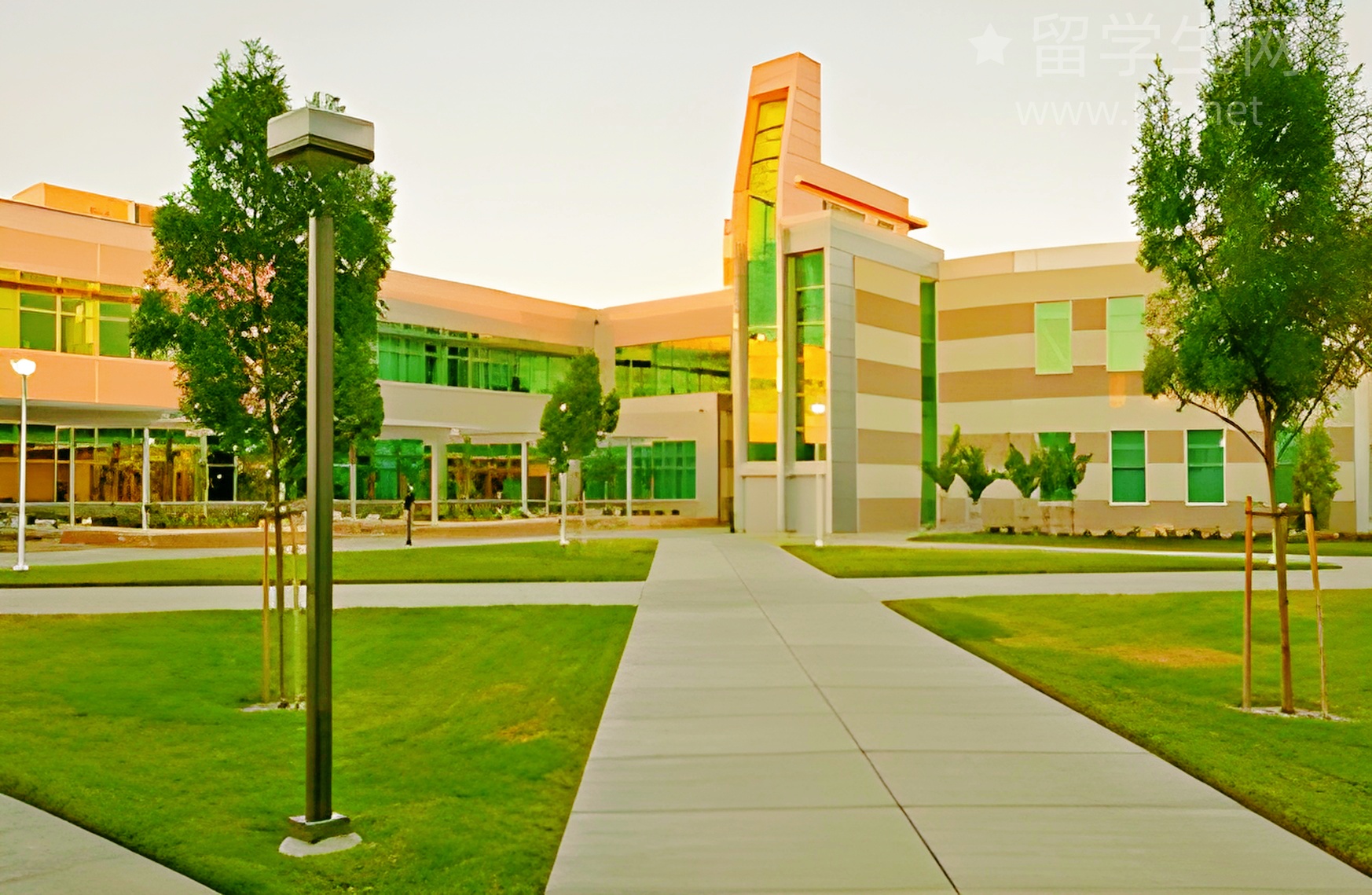 英国留学新专业：是机遇还是坑？学姐带你揭秘！