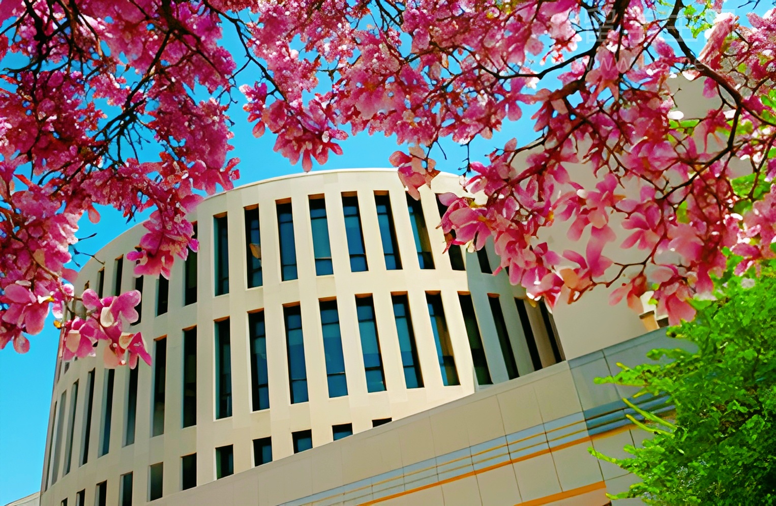 救命！香港八大毕业真香？过来人手把手教你薪资躺赢！