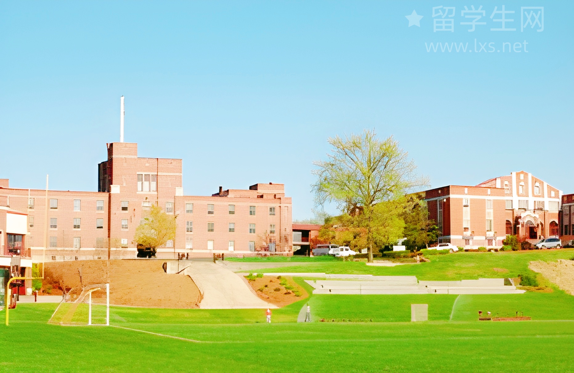 985留学教授身份大揭秘！
