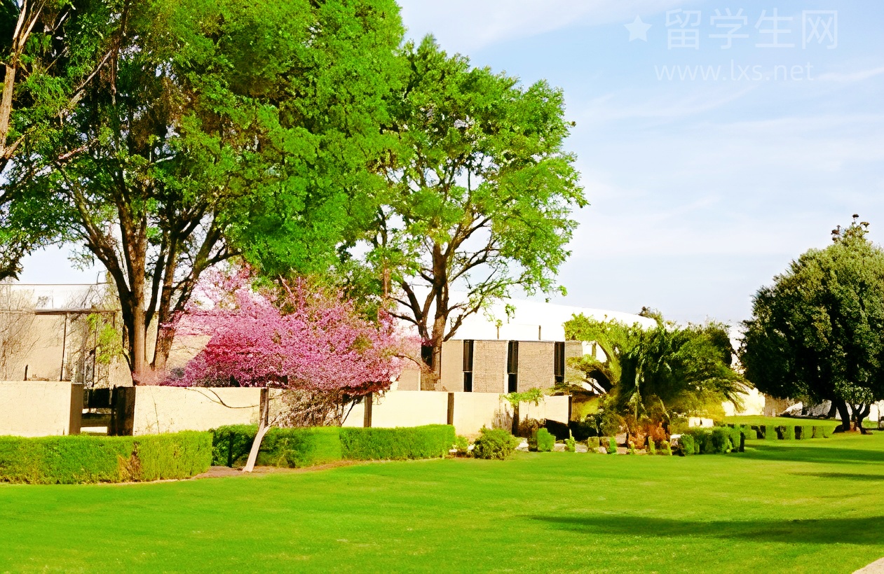 新加坡留学，到底怎么才能“活”下去？