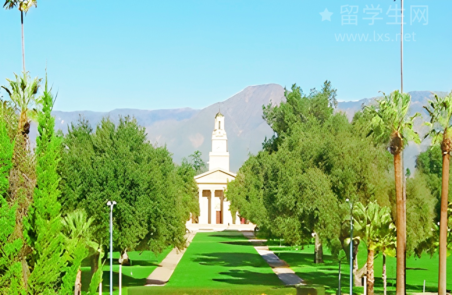 新西兰留学：我靠这点小妙招，轻松拿下了奖学金！