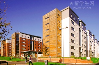 帝国理工神经科学？中大背景申请有戏吗？我来帮你扒！