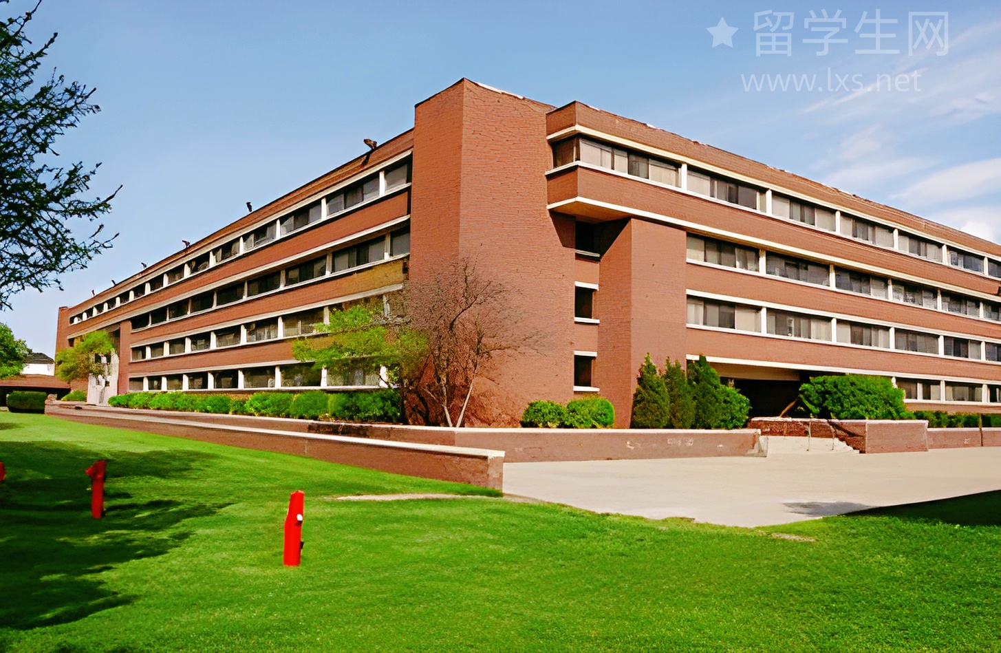 奥克兰大学奖学金：我挖到的秘密，谁懂啊？！