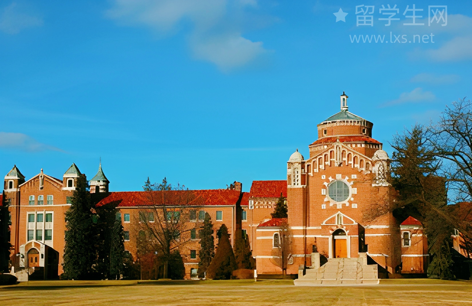 我后悔没早知道：留学生实习秘诀