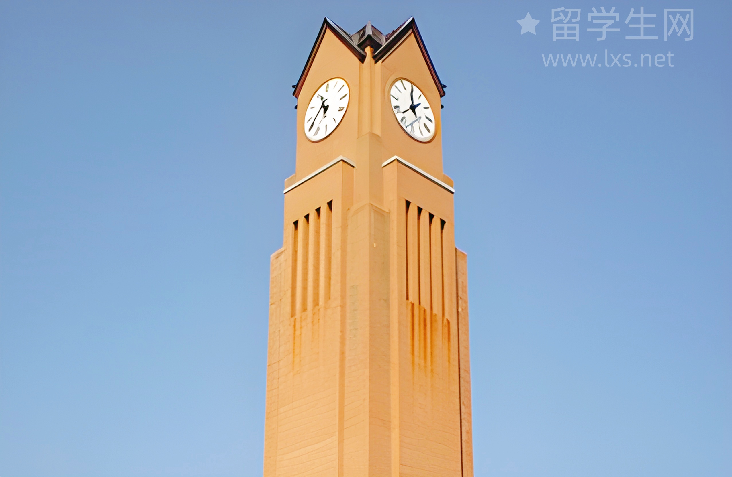 昆士兰留学迷茫？学姐带你揭秘公立院校选择攻略！