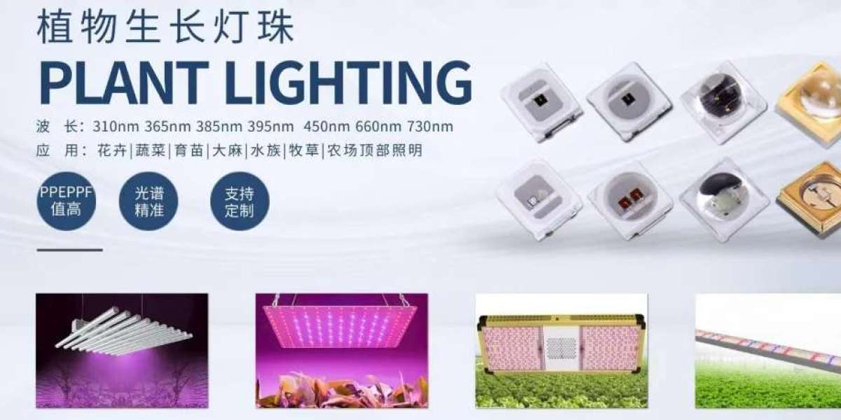 Plant lighting has become a new highlight of the industry, and companies in the field of intelligent control have demons