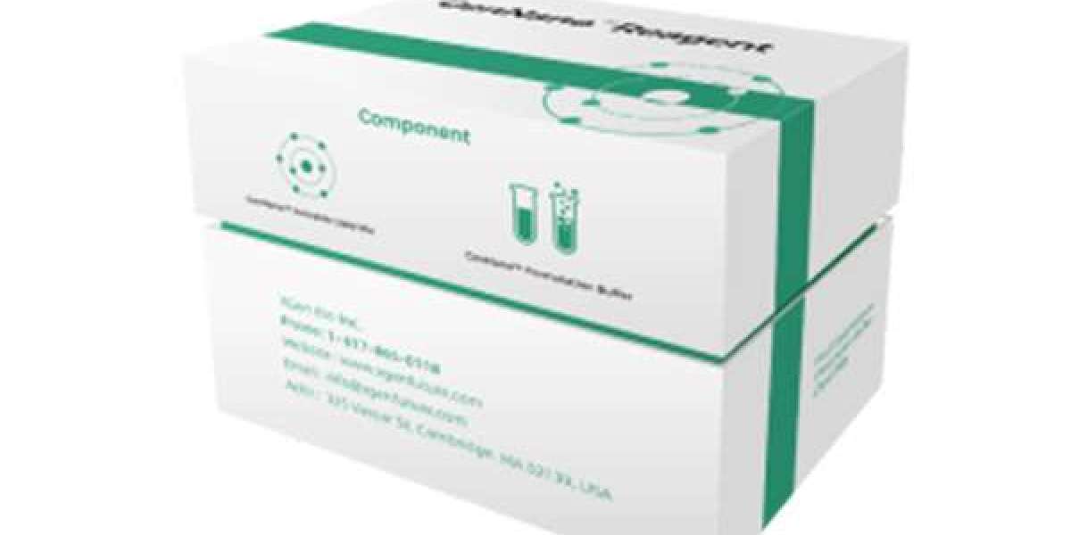 High-Efficiency Cellular Delivery Using DNA/Protein-LNP Kits from XGen Bio