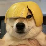 okc说留学
