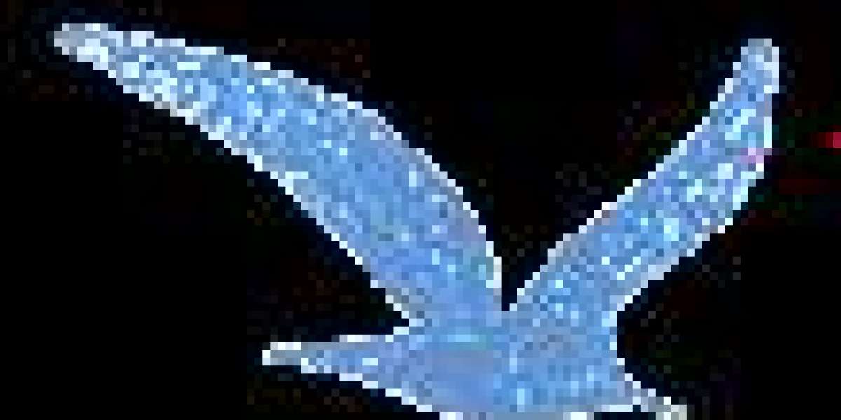 上海直飞都柏林开通13小时到翡翠岛国爱尔兰留学这下更方便了