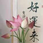 芸芸众生