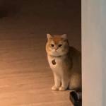 档案帮手小郭i