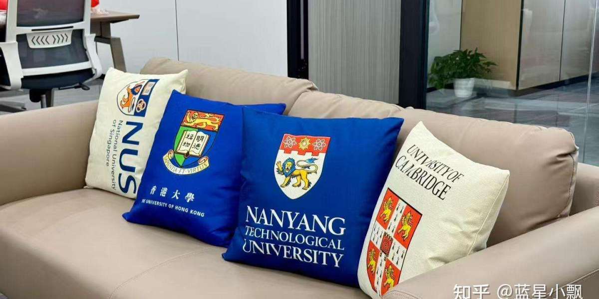 新加坡一站式留学机构哪家好2026年南洋学姐等机构信息参考