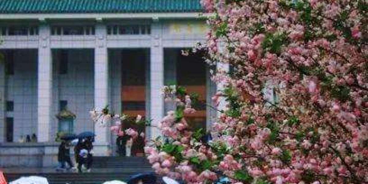 硕士留学你不知道的潜规则
