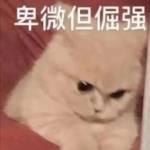 我是你永远都得不到的爸爸