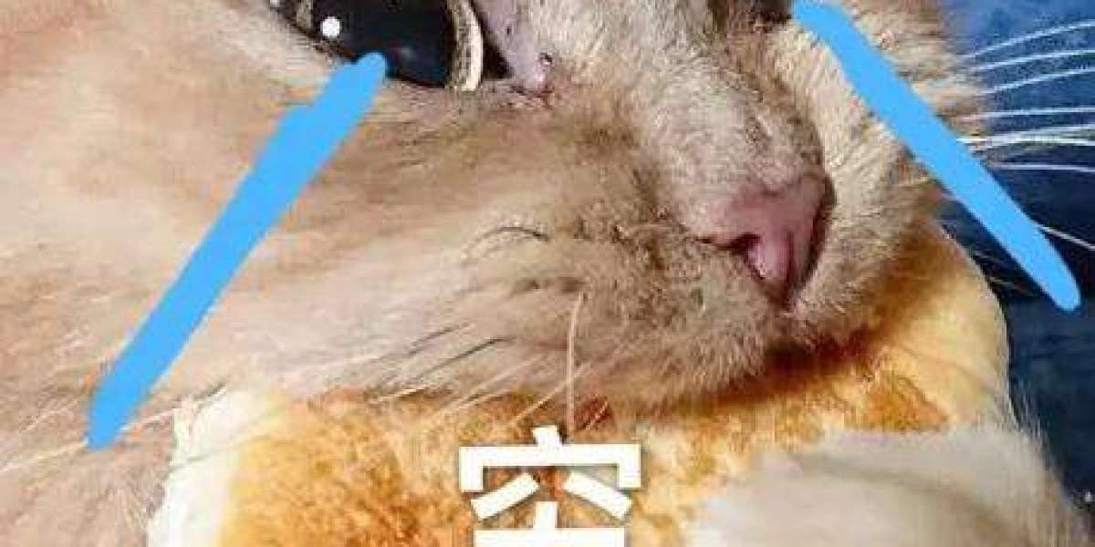 去英国留学费用很贵吗一年需要准备多少费用