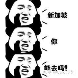 为什么感觉想去新加坡留学的好少
