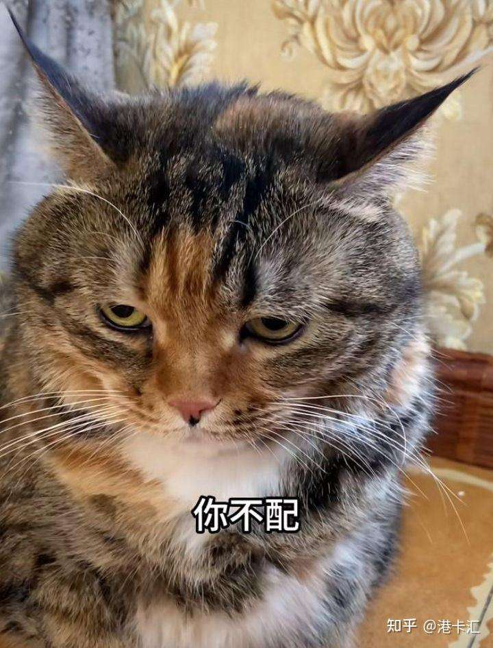 想去新加坡找工作,有什么需要注意的地方吗?