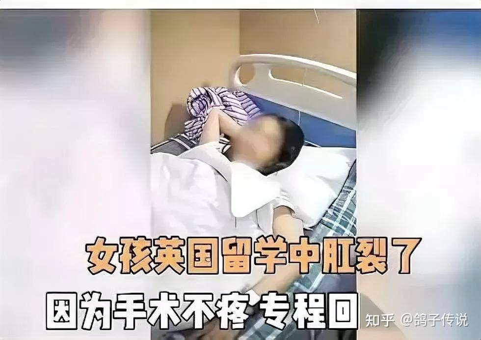 留学留到肛裂这事我听着都疼
