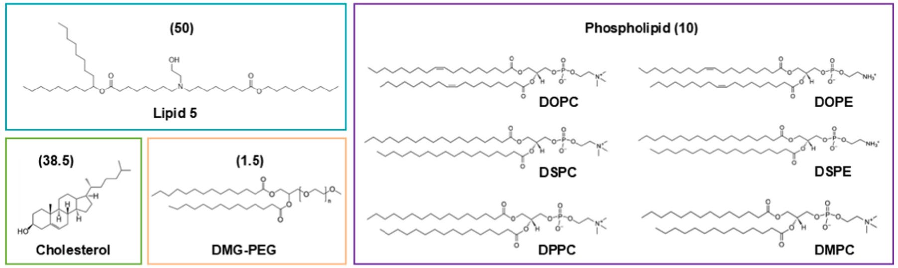 How Helper Lipids Shape mRNA-LNP Performance During Repeated Administration