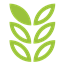 SlovakiaSlovak大学