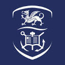 斯旺西大学